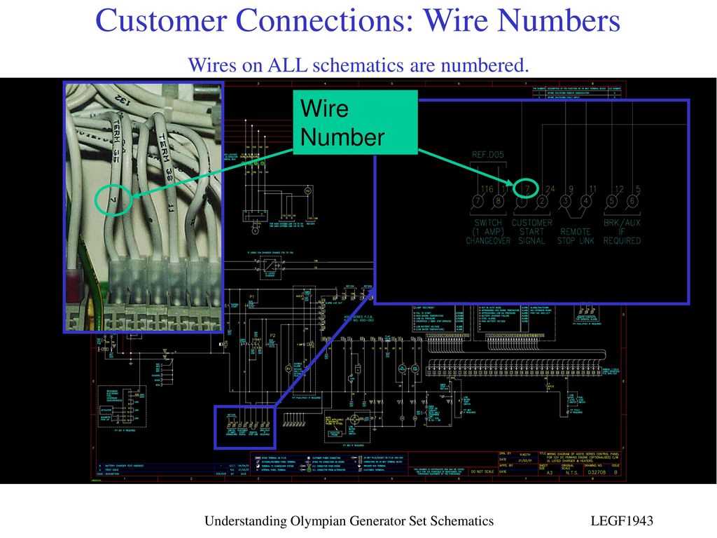 12 wire generator wiring diagram