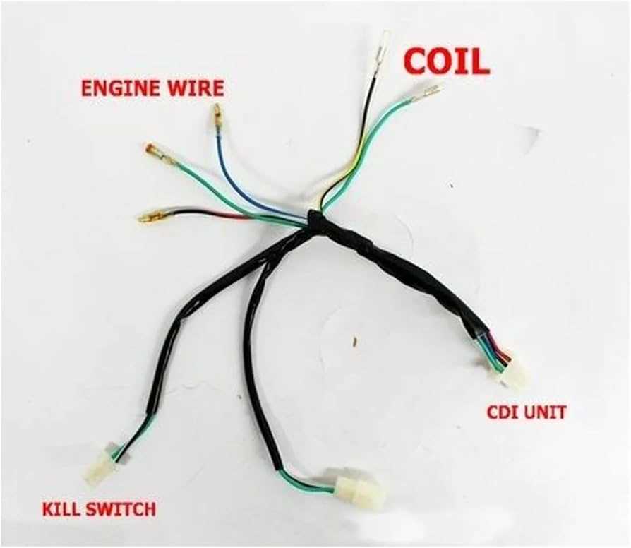 cdi kick start pit bike wiring diagram without battery