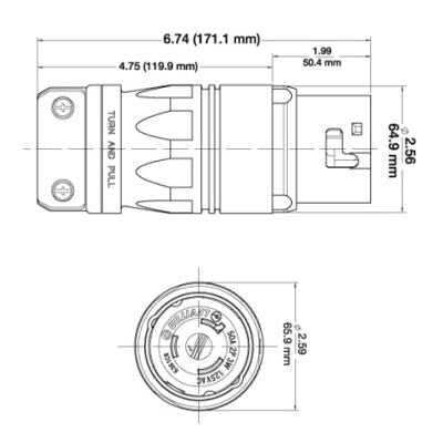 leviton plug wiring diagram