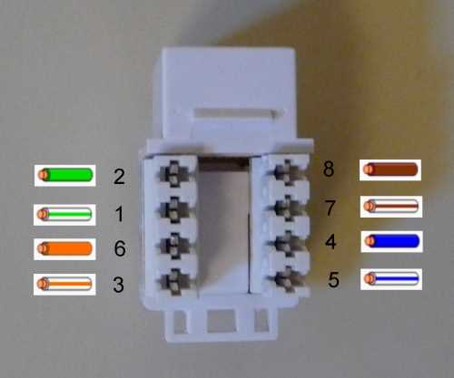 cat 6 jack wiring diagram