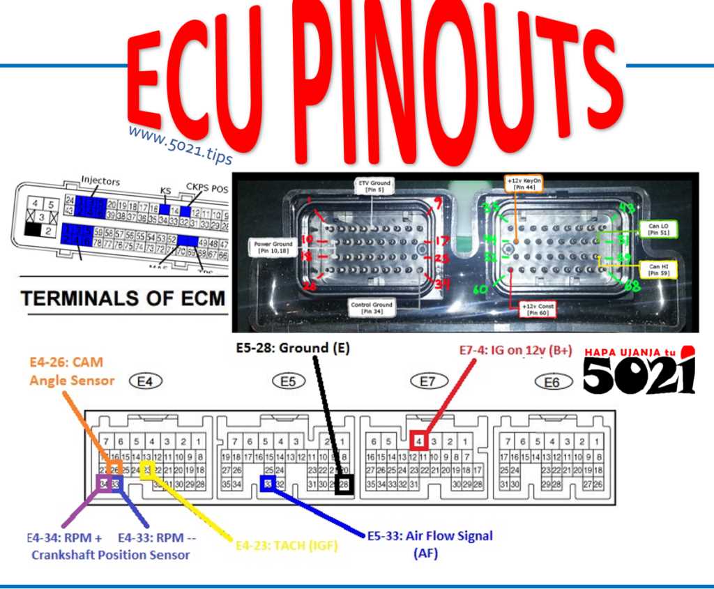 ecu nissan wiring diagram color codes