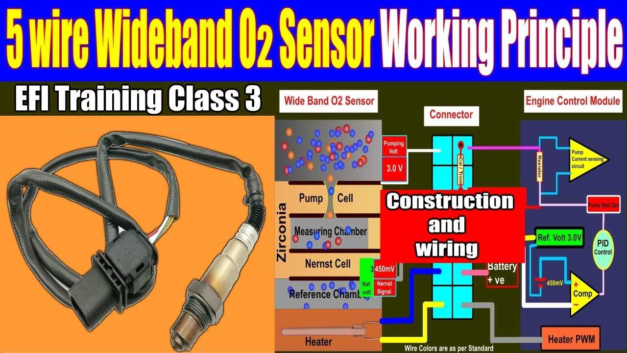 4 wire oxygen sensor wiring diagram