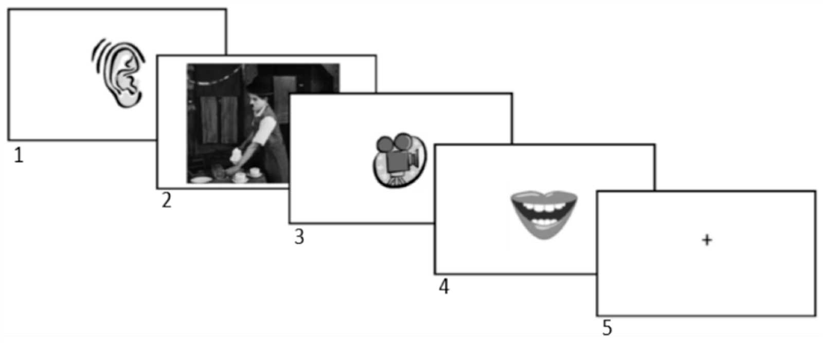 hoot 5 light wiring diagram