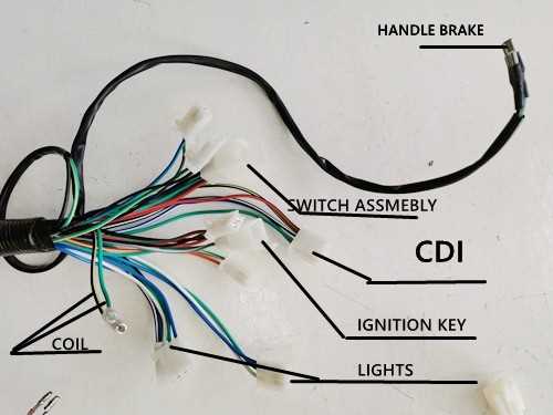 chinese pit bike wiring diagram