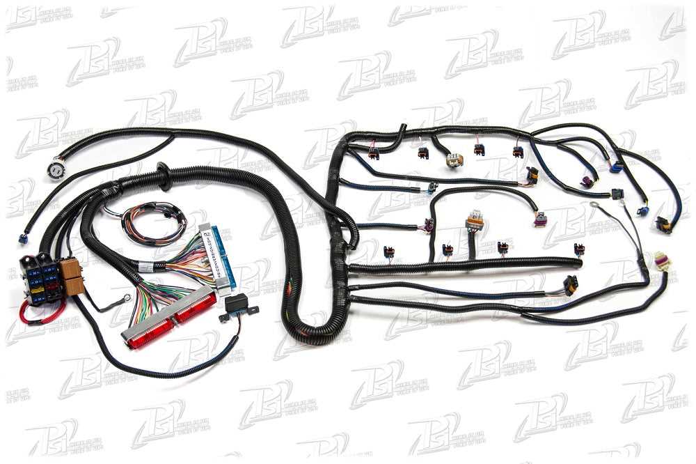 stand alone ls standalone wiring harness diagram