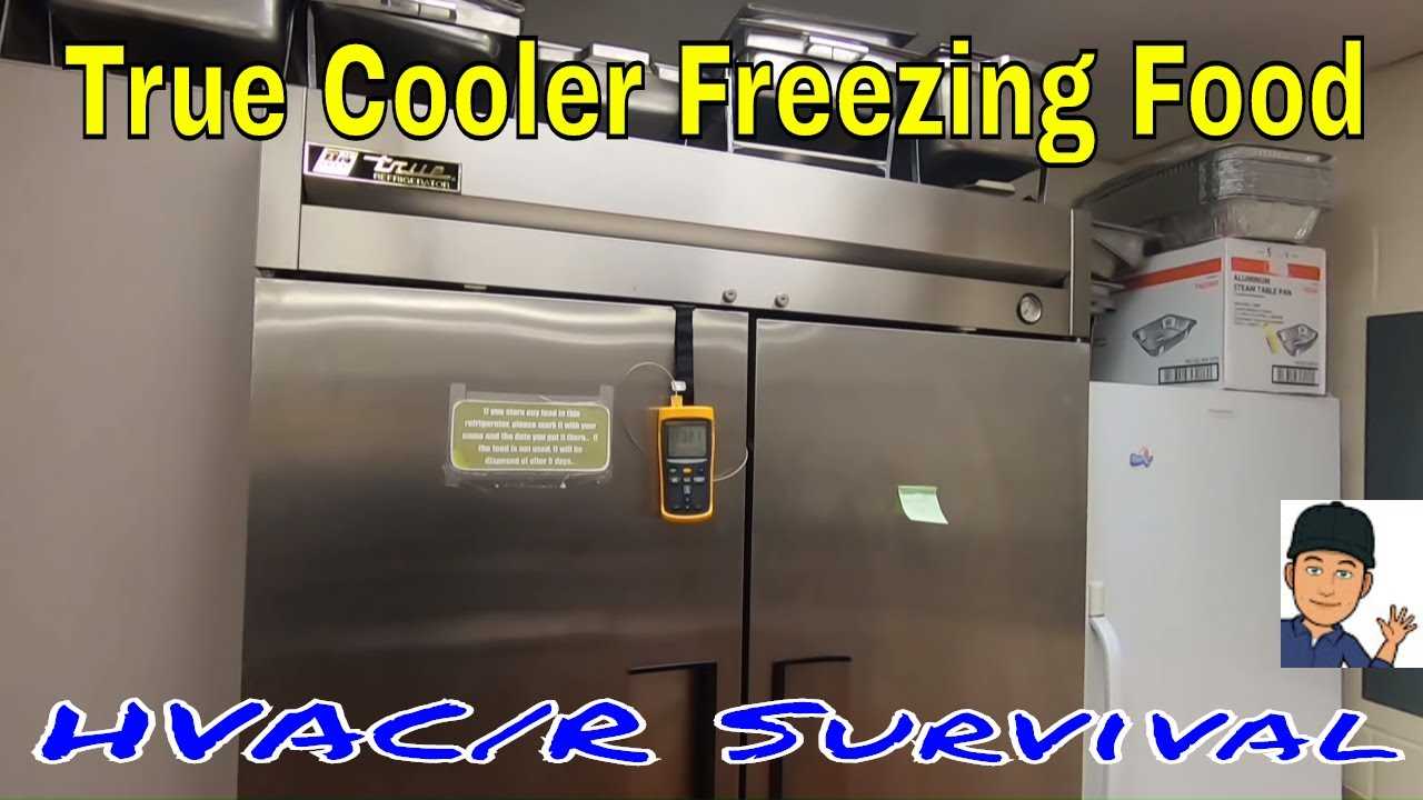 true freezer t 49f wiring diagram