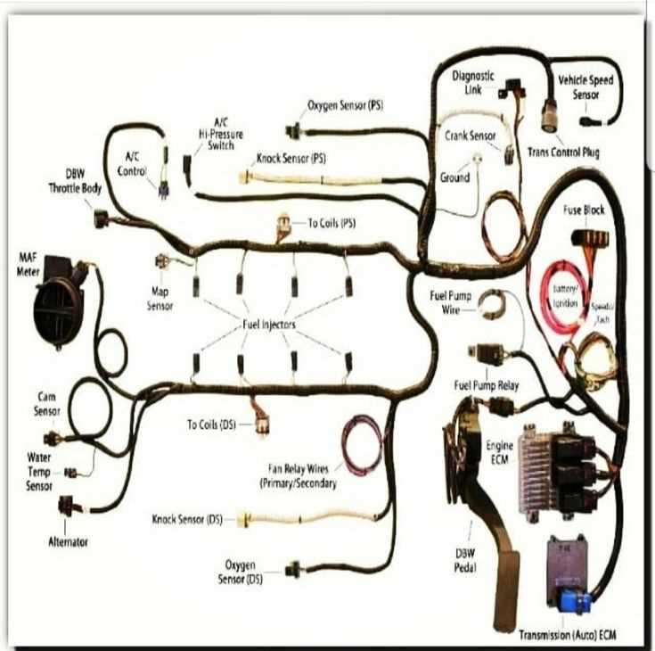 ls swap wiring diagram