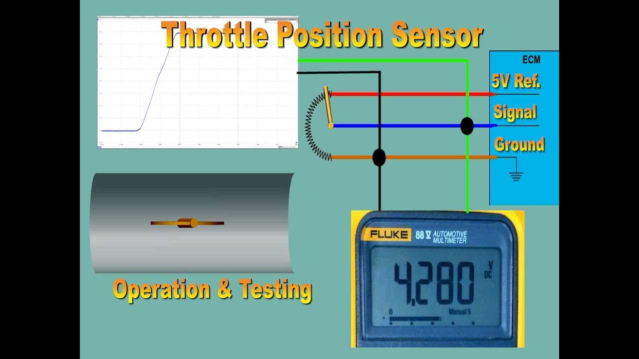 throttle position sensor wiring diagram