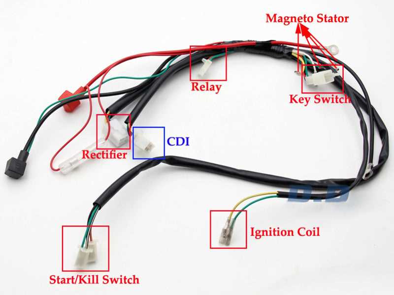 pit bike wiring harness diagram