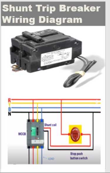 shunt trip wiring diagram