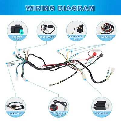 taotao 110 atv wiring diagram