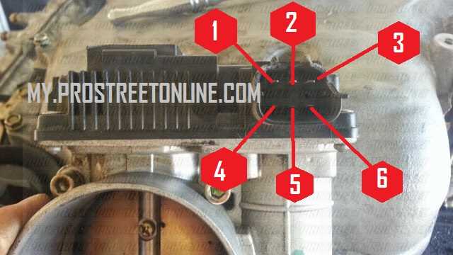 throttle body wiring diagram