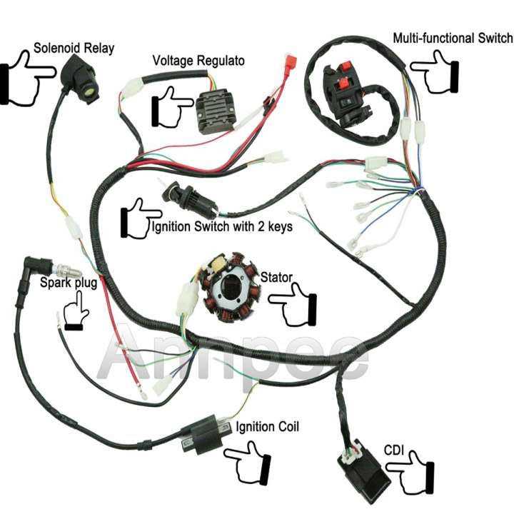 chinese pit bike wiring diagram