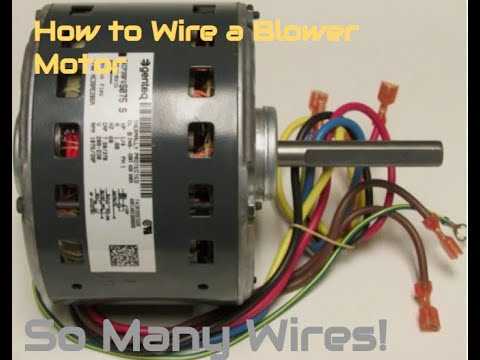 diagram multi speed blower motor wiring