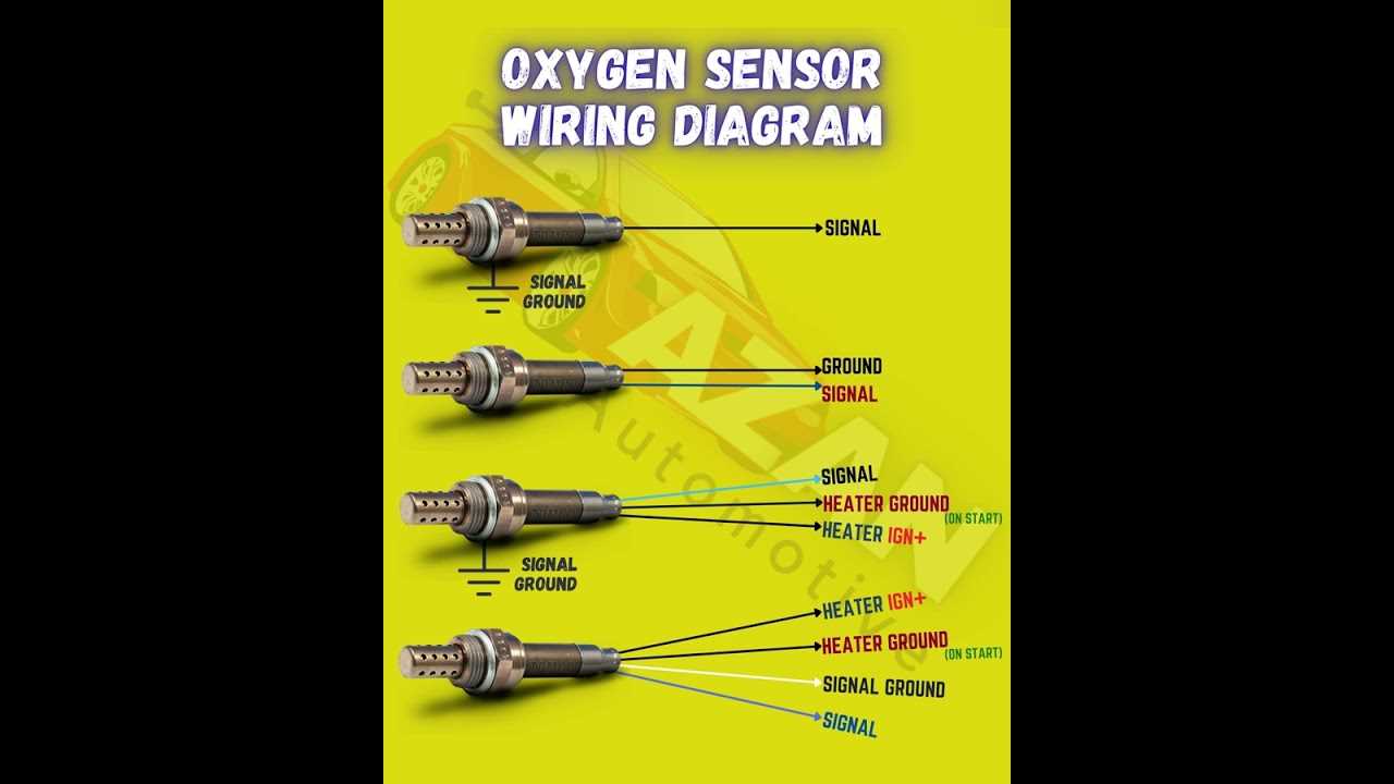 wiring diagram o2 sensor