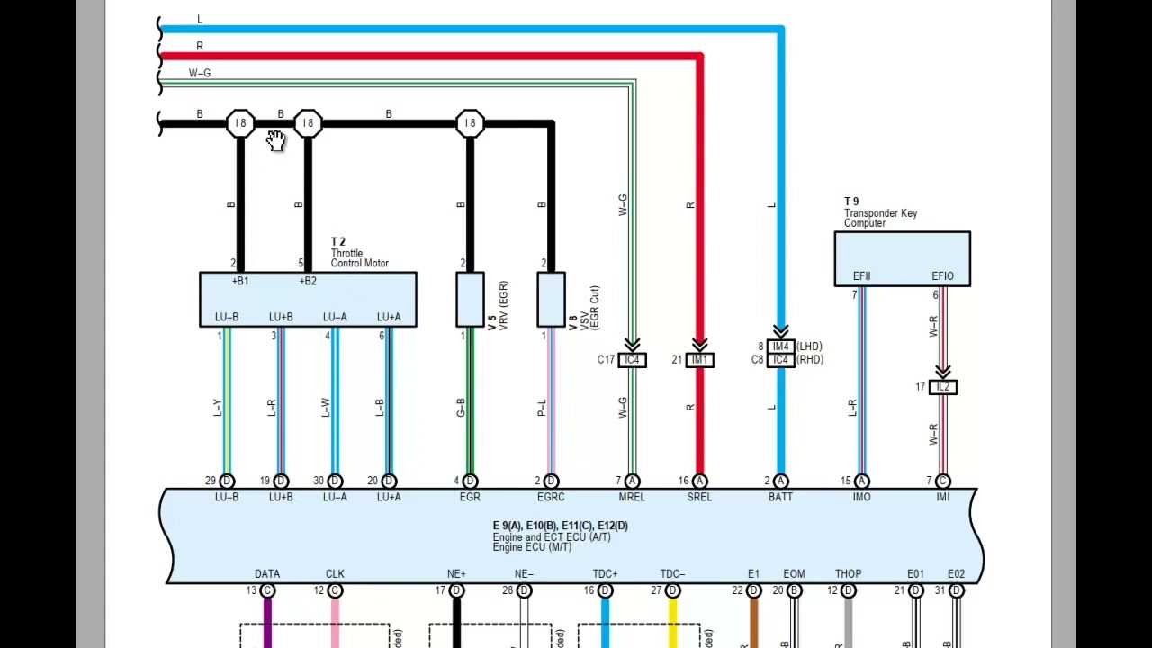 ecu wiring diagram